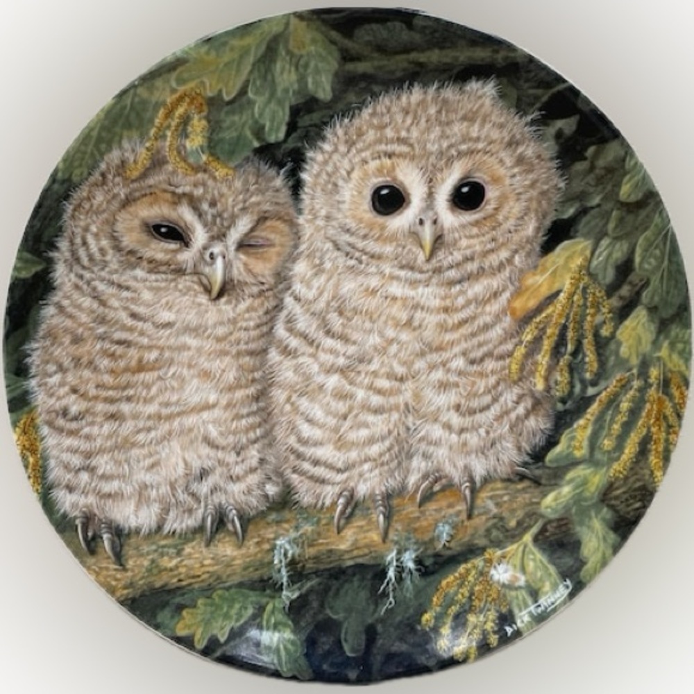 Wedgewood The Baby Owls Collection